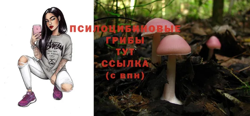 Галлюциногенные грибы Magic Shrooms  Нефтегорск 